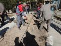 گزارش تصویری مراسم روز درختکاری